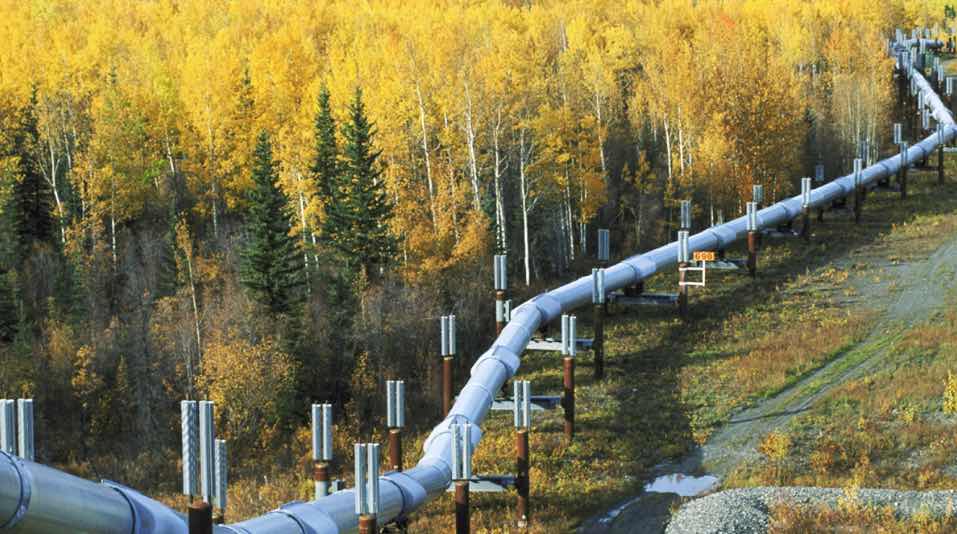 Obama Administration to Kill Keystone Pipeline